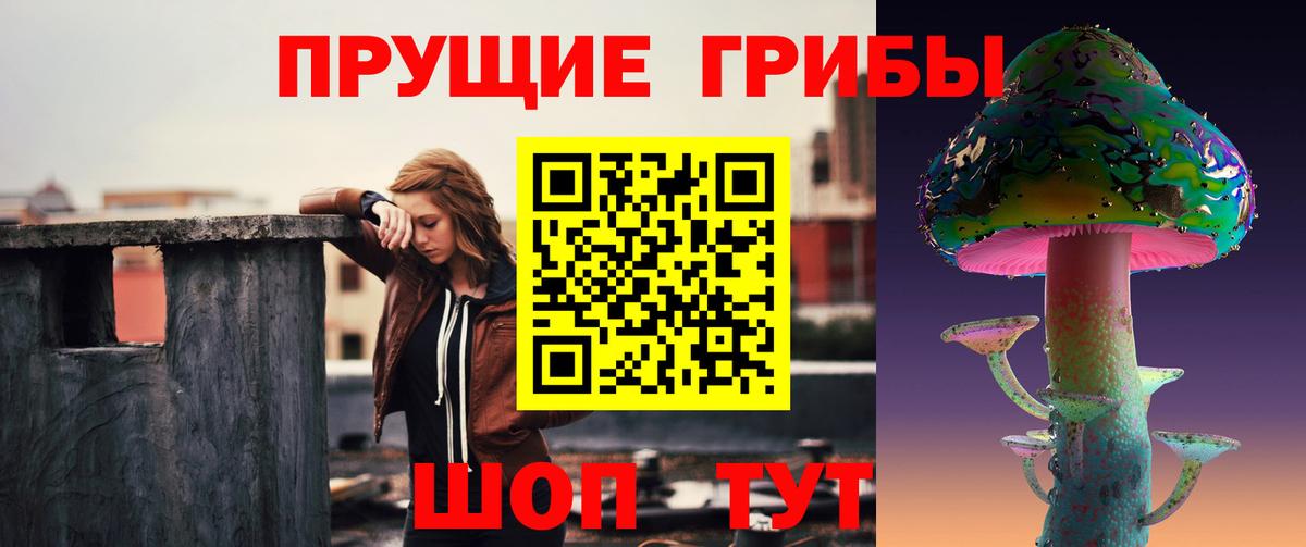 Сочи  Псилоцибиновые грибы мухоморы  сколько стоит  Вход с VPN  Псилоцибиновые грибы прущие грибы 